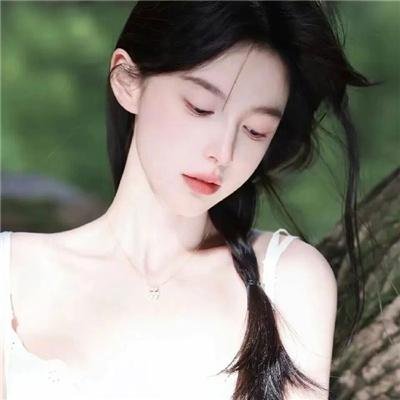 动物宝宝